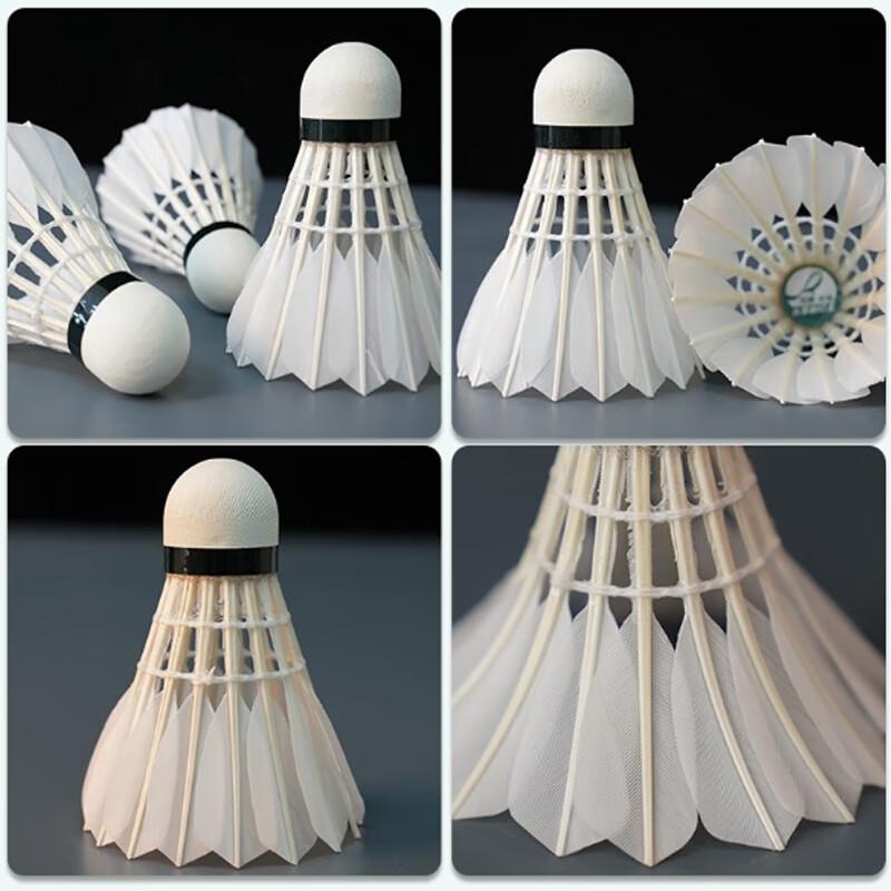 Double Fish Professional Goose Feather Badminton Shuttlecocks (12-Pack)