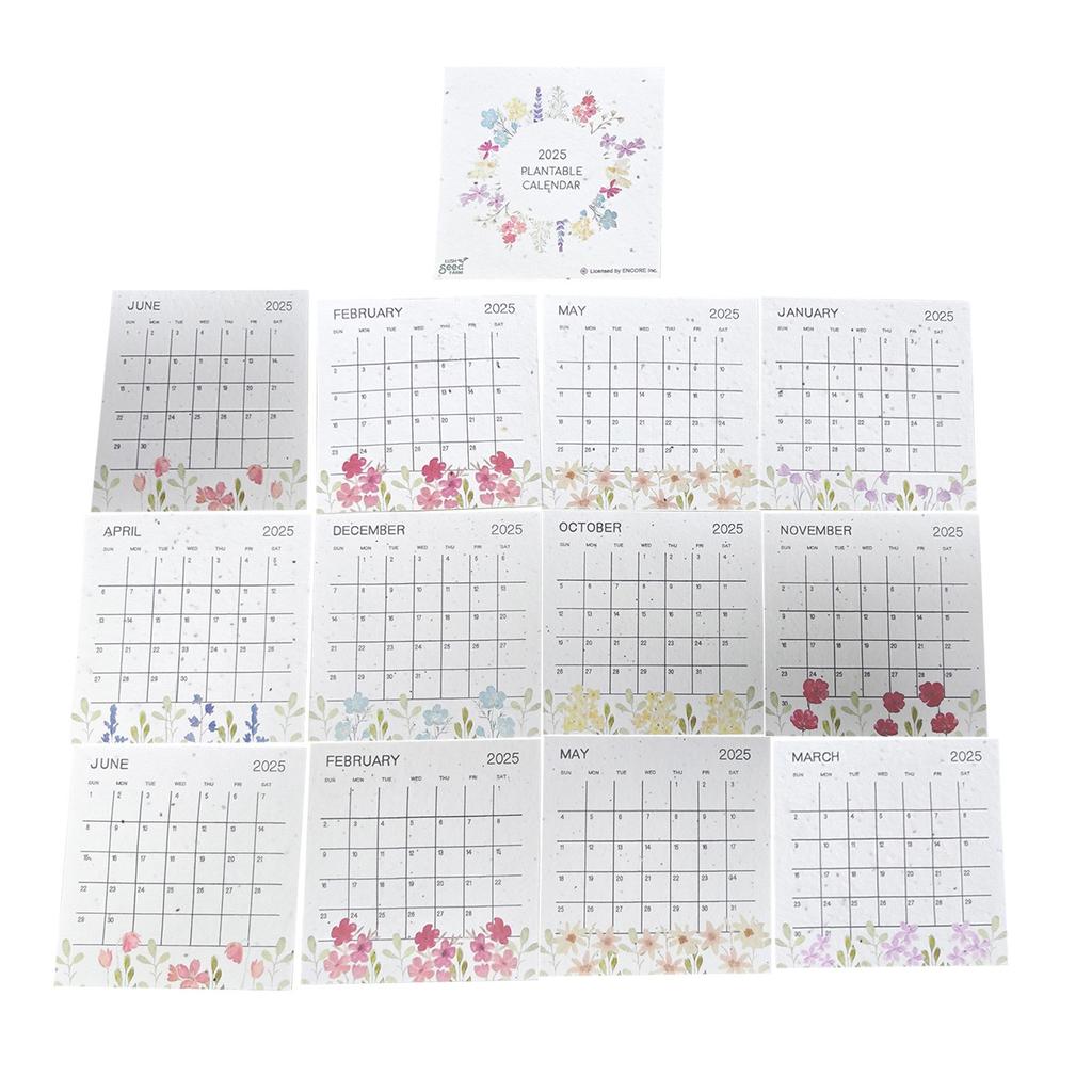 Kalendář Polní květiny Na Papíře s Polními Květinami Semínkový Papír Akvarelové Umění