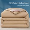 Hanyou Mulberry Silk Quilt