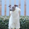 Winter Verdickte Greyhound Overalls Warme Mütze Winddichter Mantel Dünne Hundekleidung Luxus Designer Große Overalls Whippet Niedlich