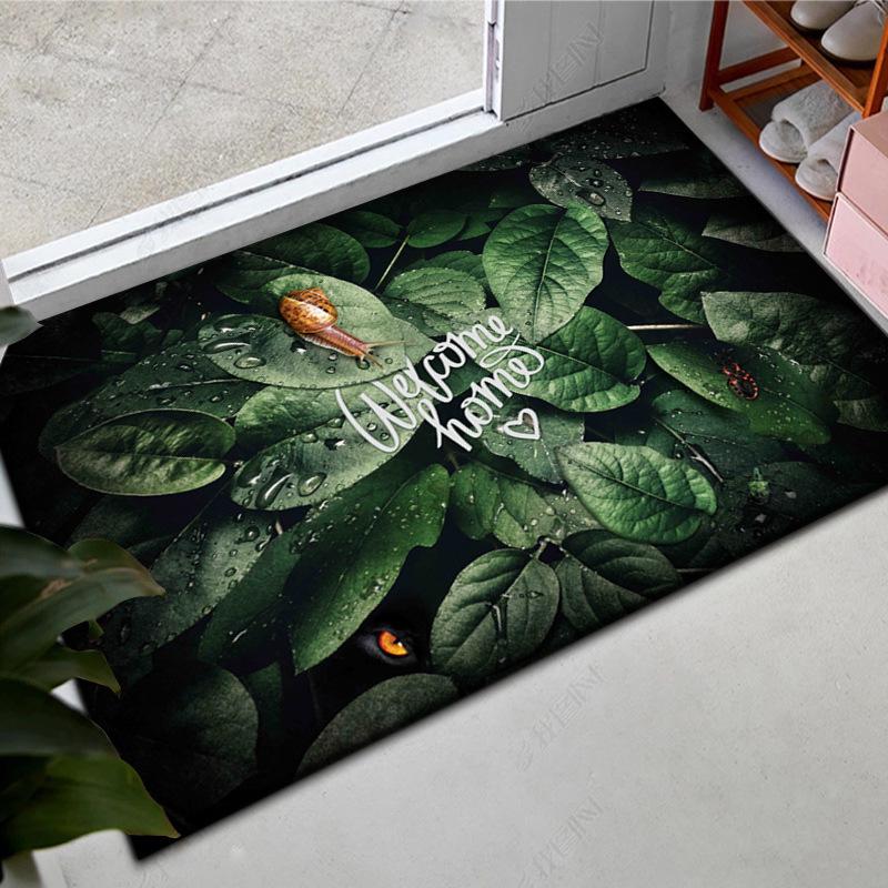 Small Absorbent Door Mats for Entry, Kitchen, Bathroom & Bedroom