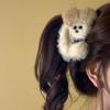 1 pezzo Autunno e Inverno Nuova Pinza Morbida per Capelli da Donna, Pinza a Forma di Squalo da Applicare sul Retro della Testa