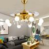 Modern Ceiling Fan Lights Home Decoration LED Chandelier Living Room Kitchen Lighting Chandelier Room Lights Ceiling Lights