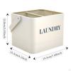 Laundry Washing Powder Storage Box Iron Accessory with Handle Multifunctional Container