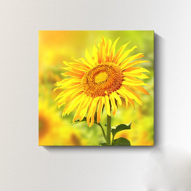 Moderne Sonnenblumen-Leinwandmalerei, nordische Landschaft, HD-Bilder, Blumenplakate und -drucke, Wandkunst, Bilder, Wanddekoration, kein Rahmen