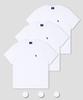 DOLPHIN WAVE APPAREL [3-Pack] Dolphin Mini Chain Embroidery 16-Count Short Sleeve T-Shirt White & White & White