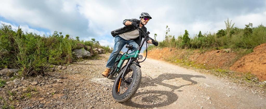 ENGWE Folding Electric Bicycle, 48V 13.5Ah Battery, Range Up To 120km, Foldable Design, All-terrain Application, EP-2 3.0 Boost