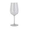 ZISIZ PC Plastic Drop-Resistant Champagne Flute