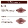 excel Lip Steady SD05 End Roll Plumping Effect Lipstick, Long-Lasting, Beige,