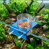 Transparent Fish Tank Feeder Plastic Fish Feeding Basin Aquarium Feeding Bowl  Food Dispensing