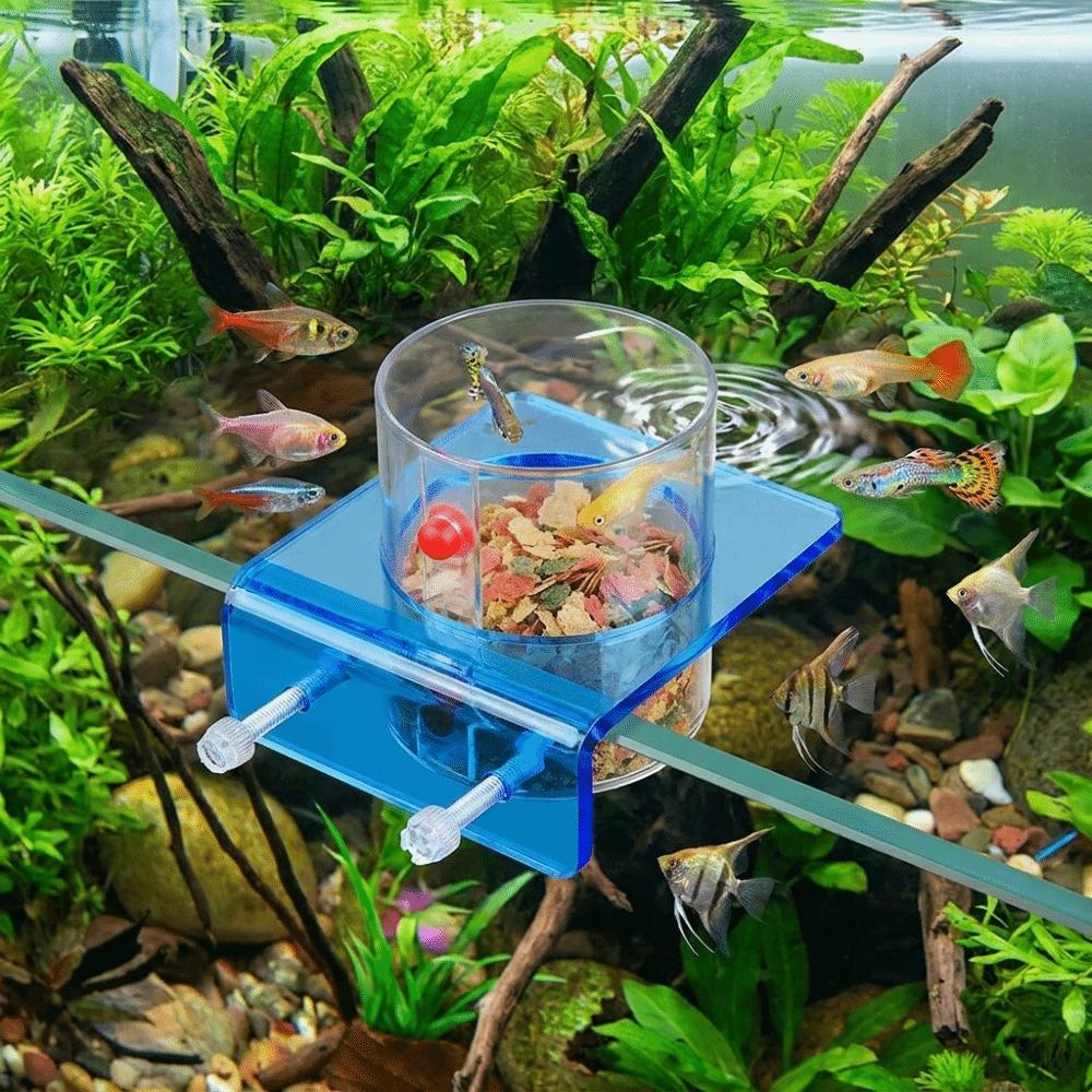 Transparent Fish Tank Feeder Plastic Fish Feeding Basin Aquarium Feeding Bowl  Food Dispensing
