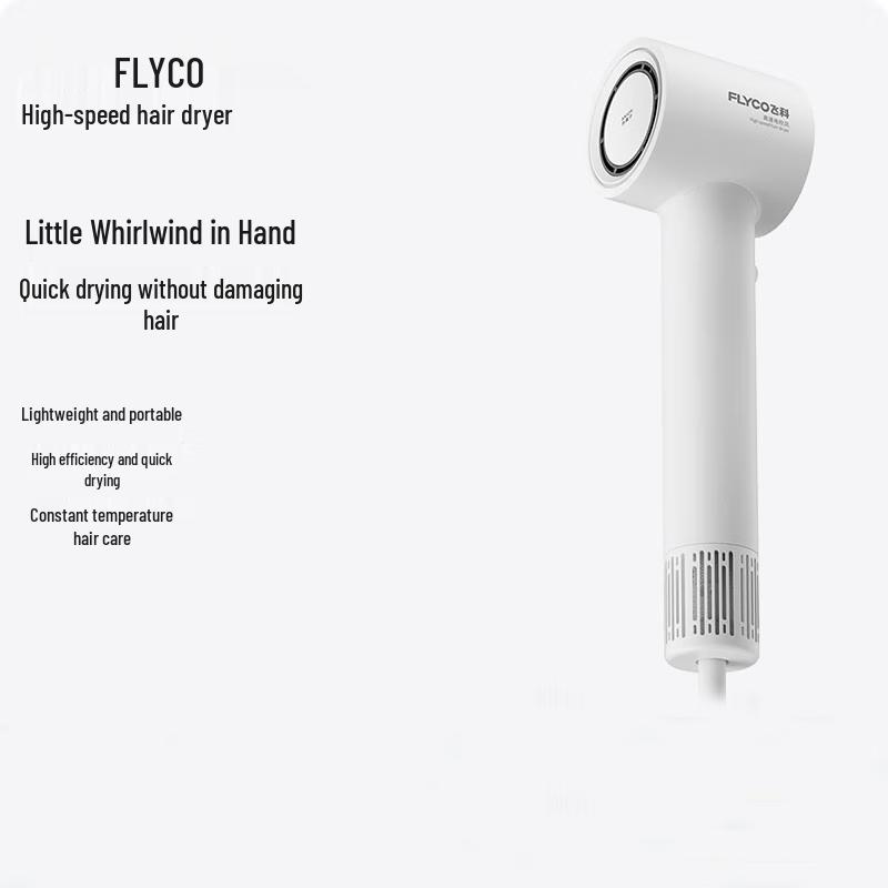 Flyco FH6370 High-Speed Hair Dryer