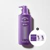 Density Care Root Volume Shampoo Pear and Freesia 400ml Protein Hair Strengthening Care with Biome Exosome Sachet 14ml