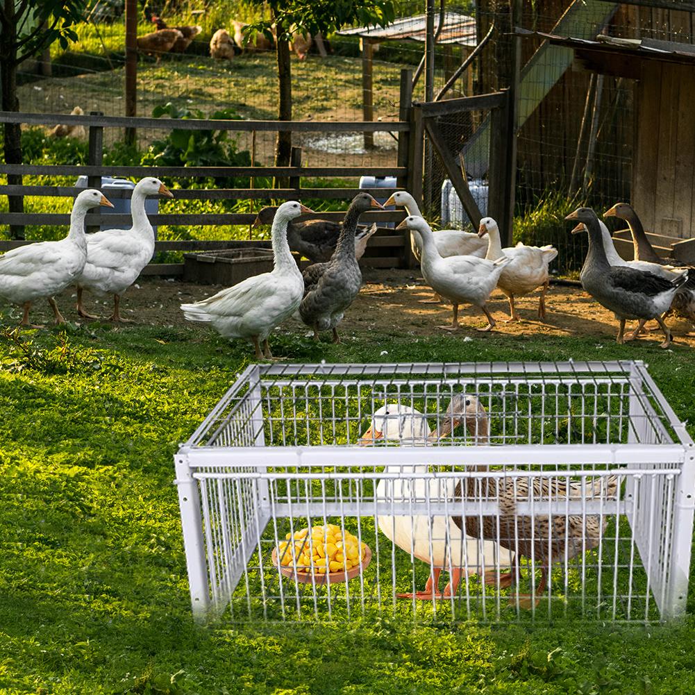 Auto Trap Bird Cage Rabbit Cage Mouse Cage Entry Only No Exit Thickened Encrypted Automatic Pigeon Collecting Pigeon Bird Cage