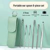 Professional Stainless Steel Earwax Removal Tool Set for Adults