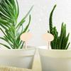 20Pcs Wooden Plant Label Stakes Succulent Markers Garden Tags Plant Name Stakes for Vegetables Flowers Outdoor Gardening