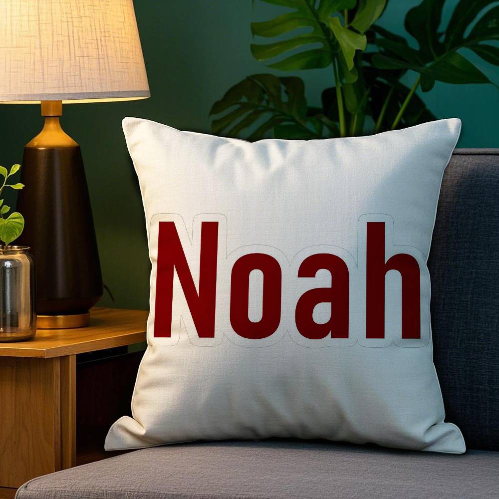 N-NOAH-HH Kissenbezug Anti-Milben Kissenbezug Unsichtbarer Reißverschluss Seidiger Kurzer Plüsch Sofakissenbezug