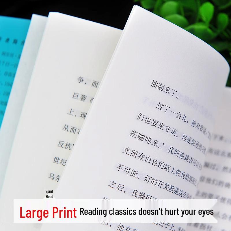 Outsider: Unabridged Translation of a Modern Absurdist Chinese Classic