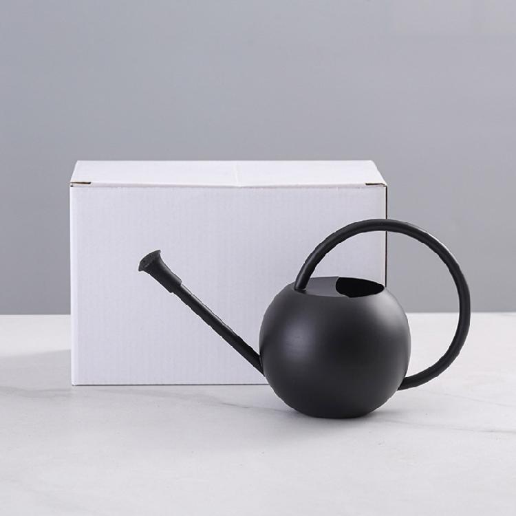 Watering Can Small Watering Can for Indoor Plant Stainless Steel Indoor Watering Can with Long Spout 35oz/400ml