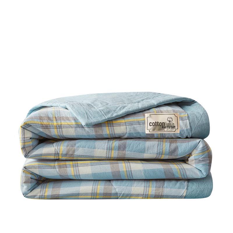 Oeny Xinjiang Cotton Summer Quilt