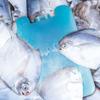 Blue Ice Crystal Box PE Refrigerated Shipping Cooling Box New Ice Box  Food