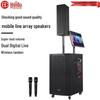 Huido DP-151T Portable Outdoor PA System with Karaoke (CN Version)