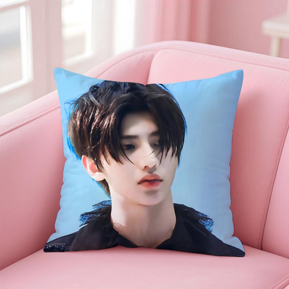 singer trendy CCai Xukun Cushion Cover Pillow Case Soft Skin Friendly Fabric  Concealed Zipper