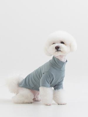 Foreverybari Turtleneck T-shirt (mint)