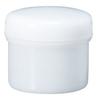 Niigata Seiki BeHAUS Made In Japan Pack Container with Inner