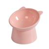 Raised Cats Food Bowls with Stand Cats Dish for Food or Water Tilted Feedi