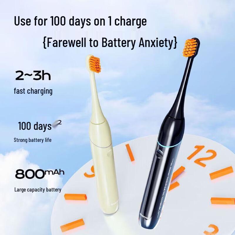 ROAMAN Rechargeable Electric Toothbrush Gift Set CN Plug (adapter Included)