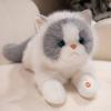The Simulation Will Be Called Ragdoll Cat Doll Plush Toy Kitten Doll Girl Ragdoll Birthday Gift