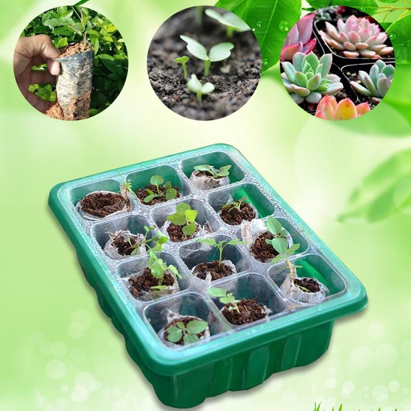 12 Holes Seed Starter Tray Greenhouse Germination Kit with Humidity Dome Plant Seedling Growing Tray with Base Propagation Kit