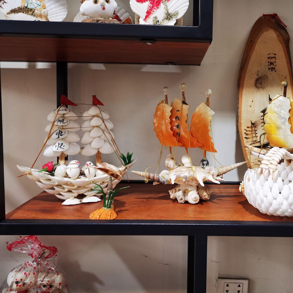 Pack of 20 Large White Scalloped Shells for Crafts Painting Baking Ocean Themed Party Decoration And Home Accent 6-8cm