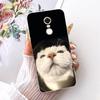 For Xiaomi Redmi 5 Plus 5Plus Redmi5 Phone Case Chinese Dragon Cute Cat Cartoon Pattern Casing Soft Clear Silicone Back Cover