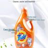 Tide All-Purpose 3kg Laundry Detergent, Long-Lasting Fragrance, for Home, Machine & Hand Washing (6kg Family Pack)