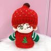 Christmas Sweater Knit Hat Set for 10cm Plush Costume & Tree, Toy, Kigurumi, Accessories, Otaku, Doll, Mascot, K-Pop Doll, [Used]