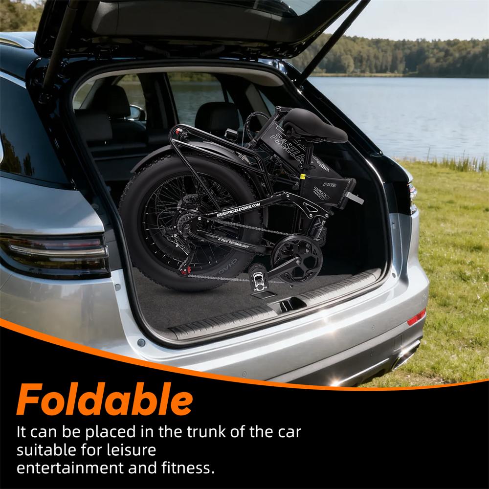 Bicicletă Electrică Adult 1000W Masculin 48 v13ahBaterie E-Mountain ebike , 20 inch 4.0 Anvelopă Lată Bicicletă Electrică Masculină