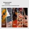 Guitar & Piano Finger Strength and Flexibility Trainer