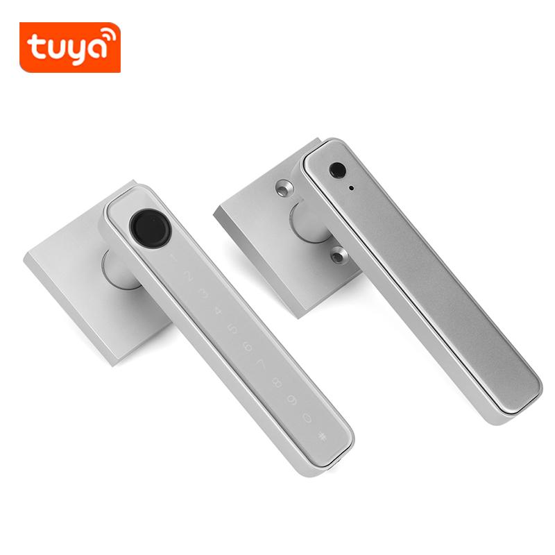 Tuya TTLOCK APP Control Door Locks Biometric Fingerprint Locker BT Smart Entry Home Handle App Unlock Digital Intelligent Lock