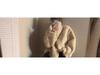 2025 Winter Women's Faux Mink Fur Short Coat with Stand Collar