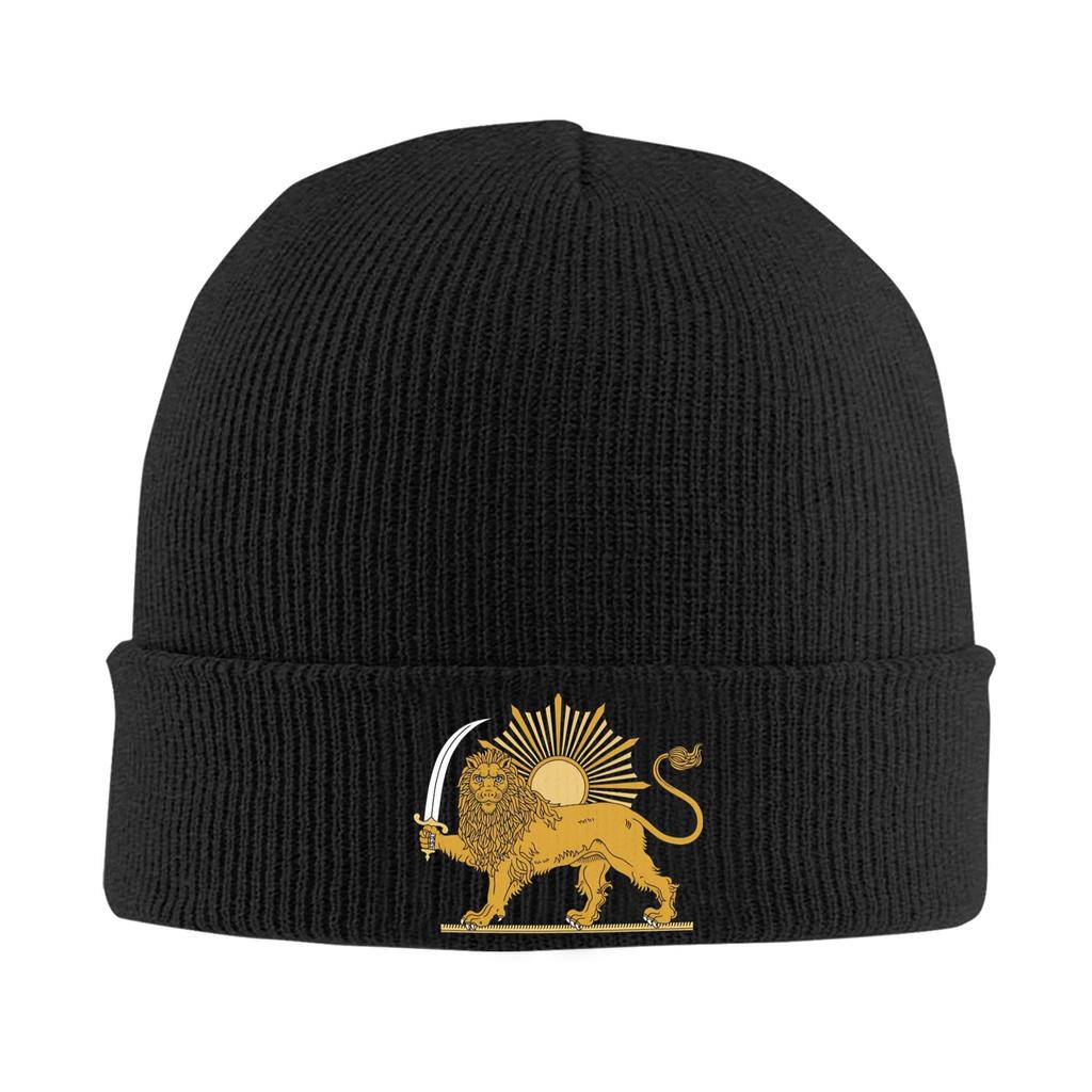 Lion and Sun of Flag Emblem Knitted Caps Women's Men's Beanie Autumn Winter Hats Acrylic  Warm Caps