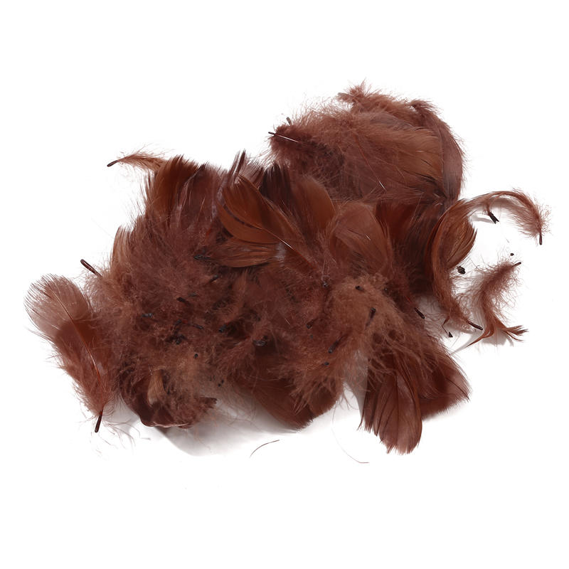Dekoration Lose Federn Natürliche Gänsefeder Bunte Ornamente DIY Zuhause Heimdekor