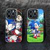 F-Shadow the Hedgehog Phone Case For iPhone 17,16,15,14,13,12,Pro MAX Black Matte Shockproof Cover