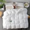 Solid Color Warm Winter Quilt for B&B Dormitory - Thick, Fluffy, and Soft for Four Seasons Use