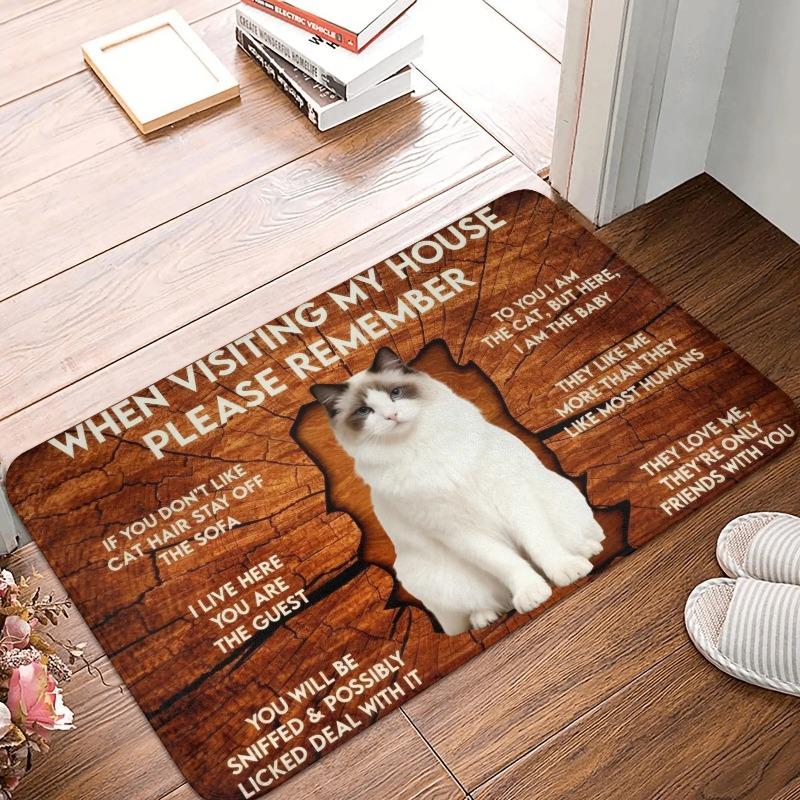 Corgi Themed Funny House Rules Living Room Door Mat Carpet Wood Texture Cute Corgi Pattern Humorous Visitor Notice Home Decor
