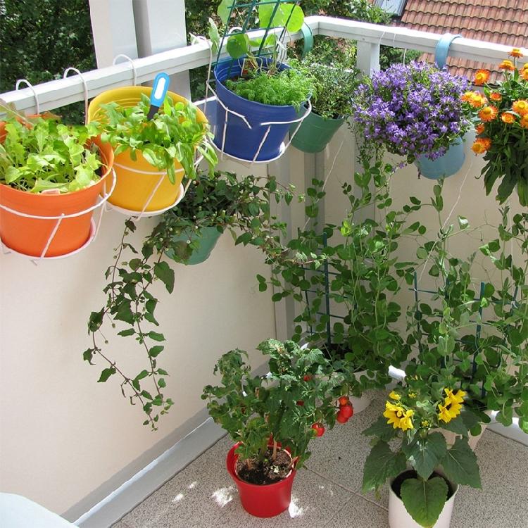 Advanced Soil Analyzers Track Moisture Acidity Alkalinity & Light Conditions Enhancing Plant Care In Various Environment