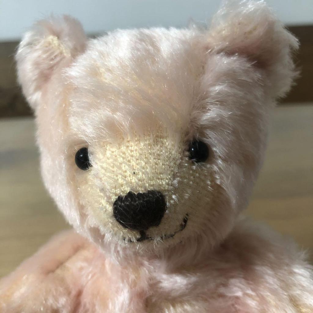 [USED] Teddy Bear Artist Bear Teddy Bear Museum Artist