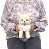Pelúcia Animal Cão de Colo Chihuahua Limão Sol P-8062 Cachorro Fofo 14 x 26 x 13cm