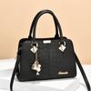 Luxury Handbag Women Female Shoulder Bags Crossbody Bag with Tassel Hanging Large Capacity Ste Pattern Print Tote Sac A Main